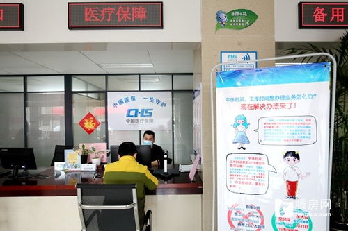 龍泉街道服務中心 午間不斷檔、全年不打烊，檔案整理服務貼心直達群眾心坎
