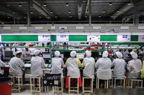 蘋果印度工廠遭暴力打砸，緯創澄清與業務培訓問題引發反思